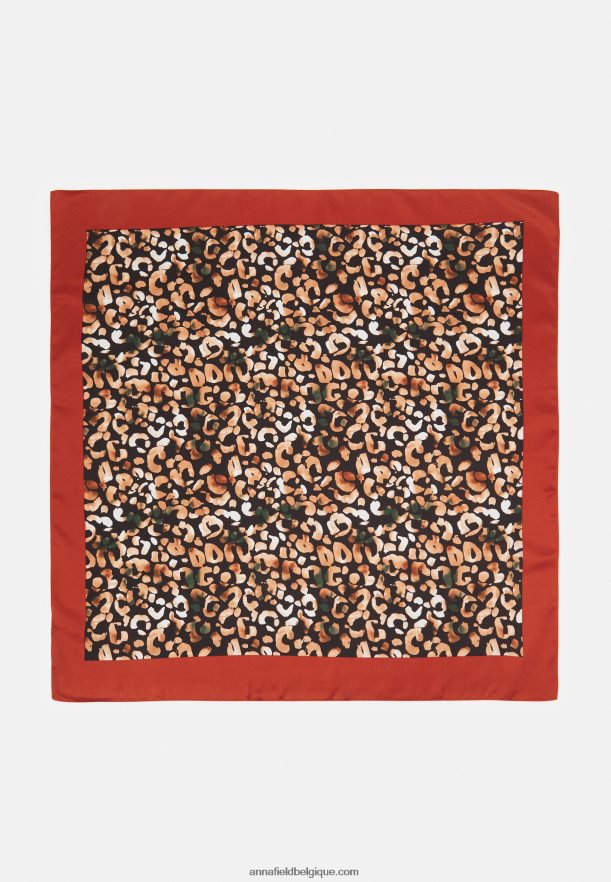 femmes foulard marron Anna FieldNHH26B2844