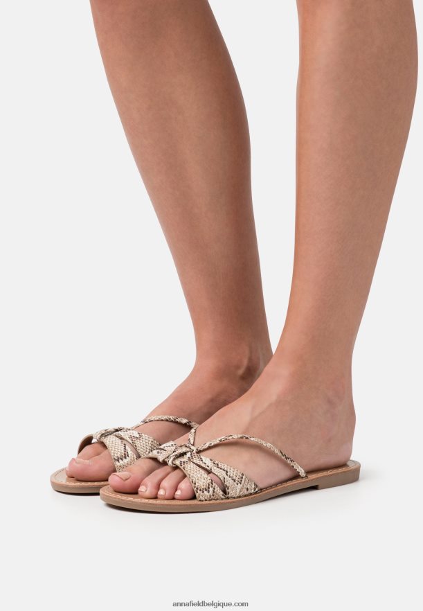 femmes mules marron Anna FieldNHH26B1882