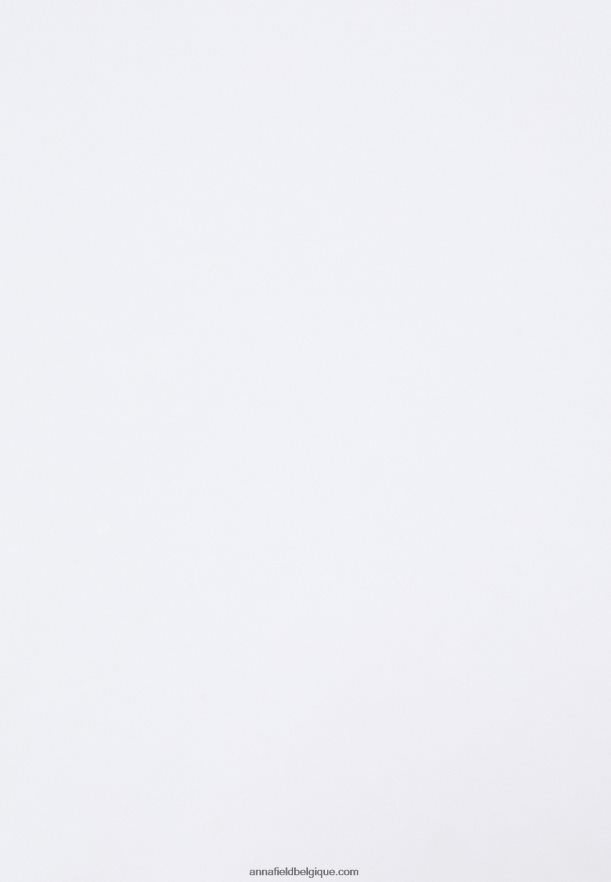 femmes t-shirt basique blanc Anna FieldNHH26B376