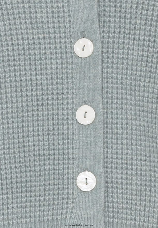 femmes cardigan vert clair Anna FieldNHH26B825