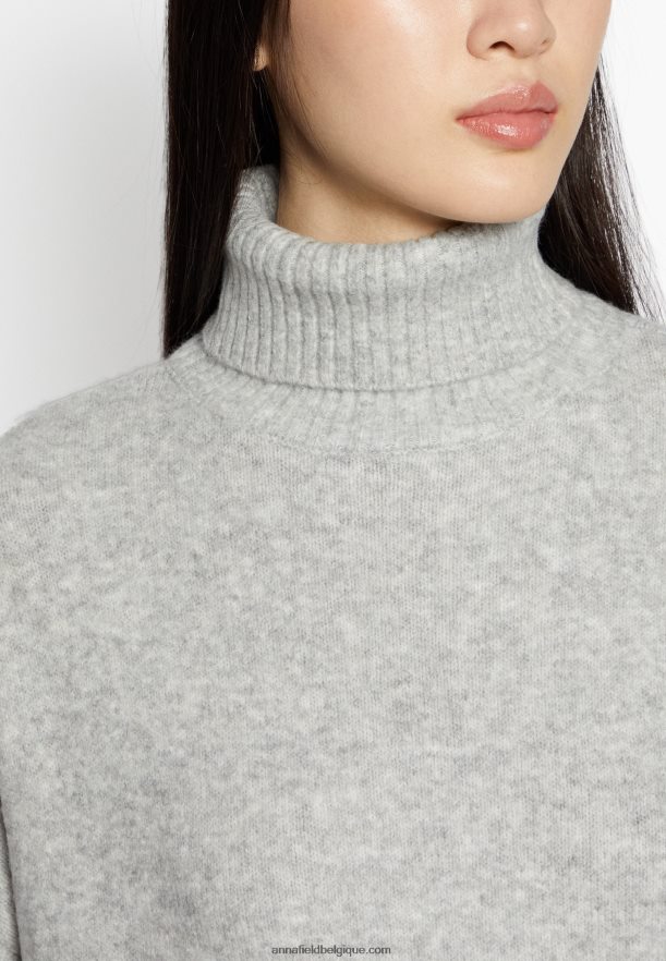 femmes pull 112 gris chiné Anna FieldNHH26B849