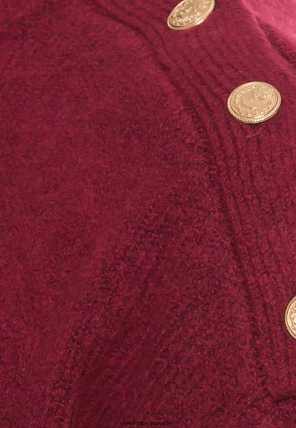 femmes pull bordeaux Anna FieldNHH26B846